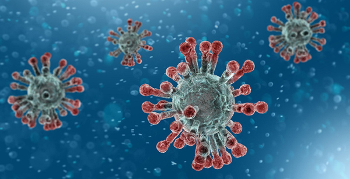 Read more about the article Coronavirus | Harvard Resource Center